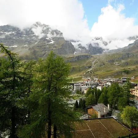 In Aosta Valley Near Lift *